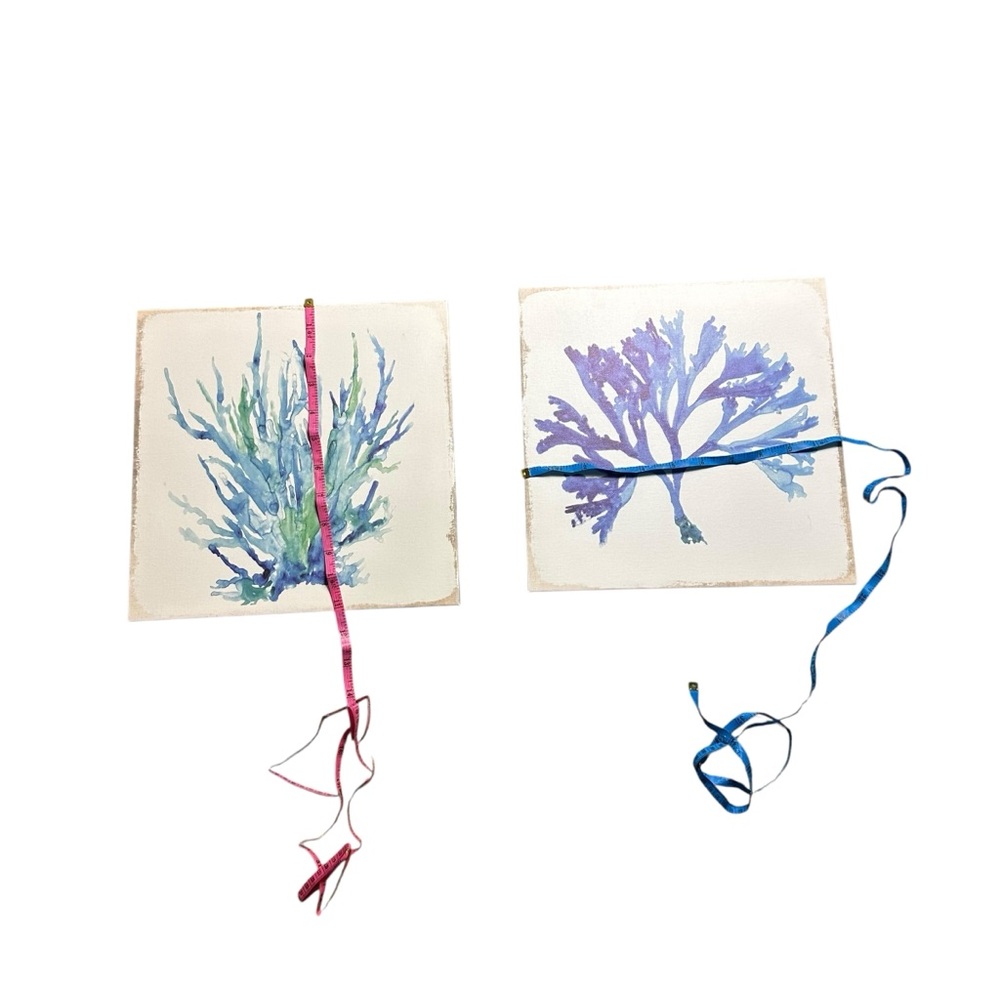 Set of Two Botanical Art Prints - Picture 6 of 15
